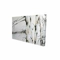 Fondo 12 x 18 in. Winter Birches-Print on Canvas FO2787046